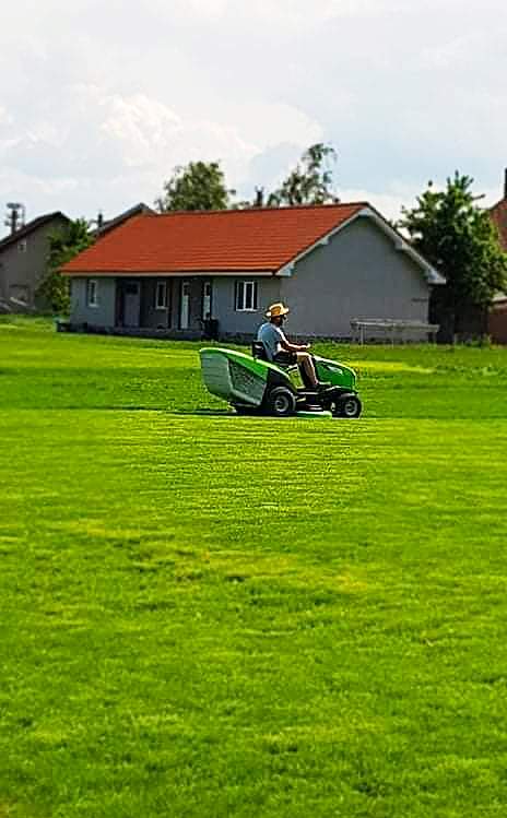 amenajari-spatii-verzi