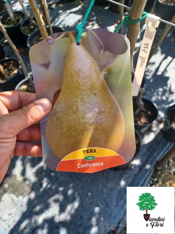 Par Conference 2 Par Conference - imagine 2